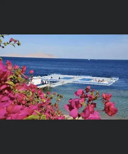 Private Furnished Studio At Domina Coral Bay Hareem *